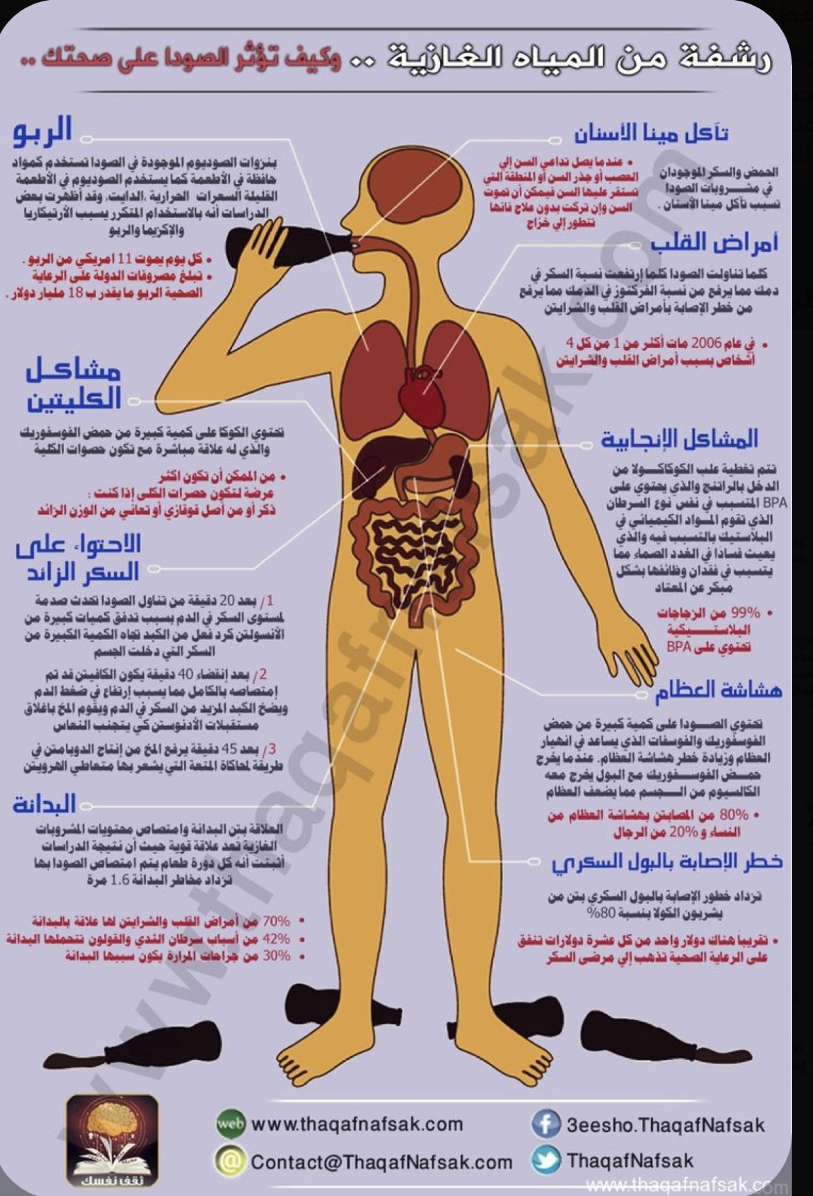 المشروبات الغازية وكبد الإنسان: علبة واحدة فقط.. هذا ما تفعل - المشروبات الغازية وكبد الإنسان