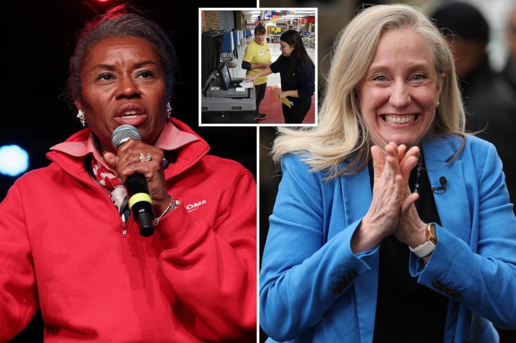 وينسوم إيرل-سيرز تعترف بهزيمتها في سباق حاكم فرجينيا - وينسوم إيرل-سيرز