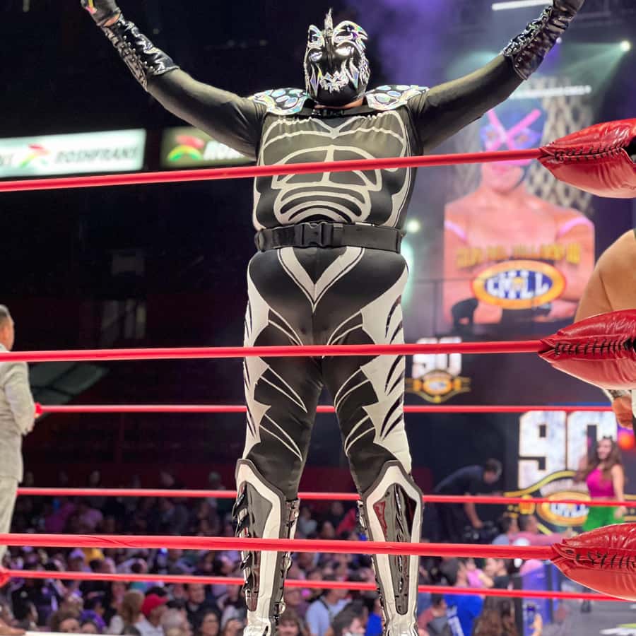 عرض لوتشا ليبر AAA على قناة فوكس في المكسيك بدءًا من 2026 - عرض لوتشا ليبر AAA