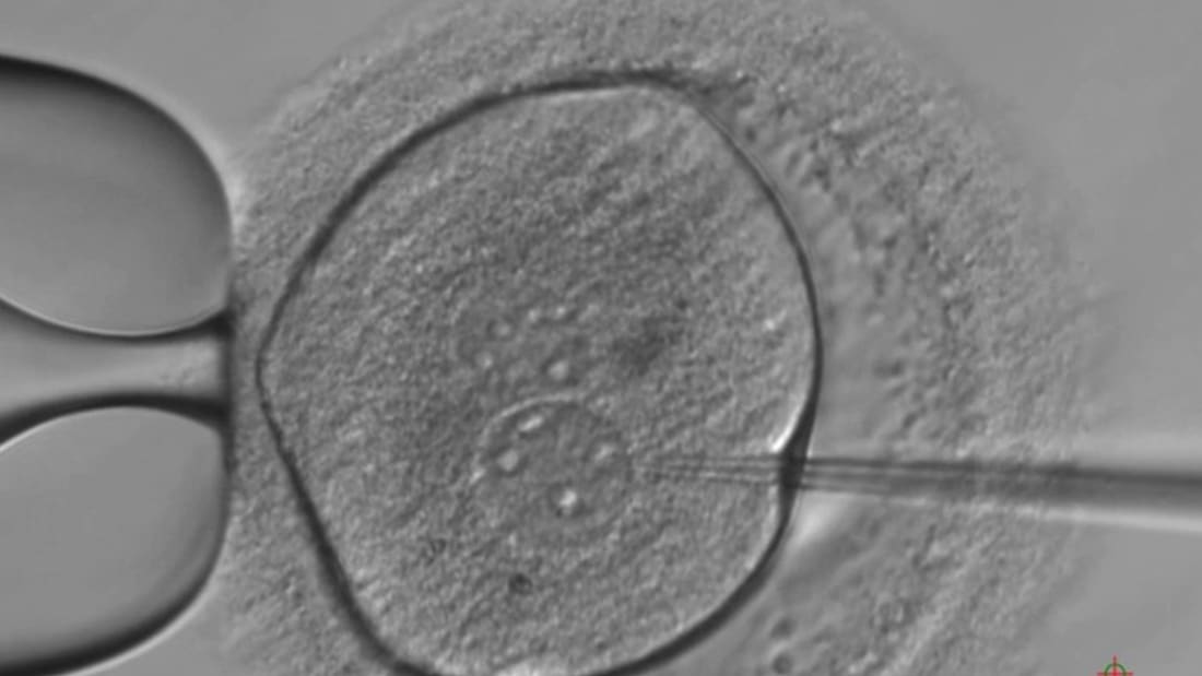 التعديل الجيني للأجنة وول ستريت: شركة ناشئة أطلقت مشروعا - التعديل الجيني للأجنة