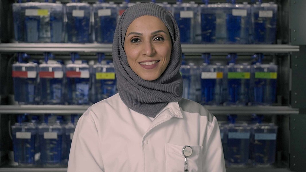 التعديل الجيني للأجنة وول ستريت: شركة ناشئة أطلقت مشروعا - التعديل الجيني للأجنة