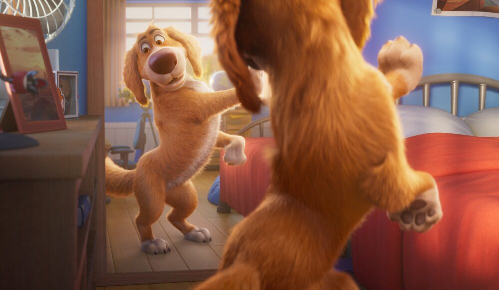 فيلم Charlie the Wonderdog عرض أول مقطع دعائي لفيلم - فيلم Charlie the Wonderdog