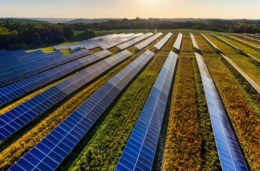 عائلات أمريكية مصدومة من تقليص تمويل الطاقة الشمسية - تقليص تمويل الطاقة الشمسية