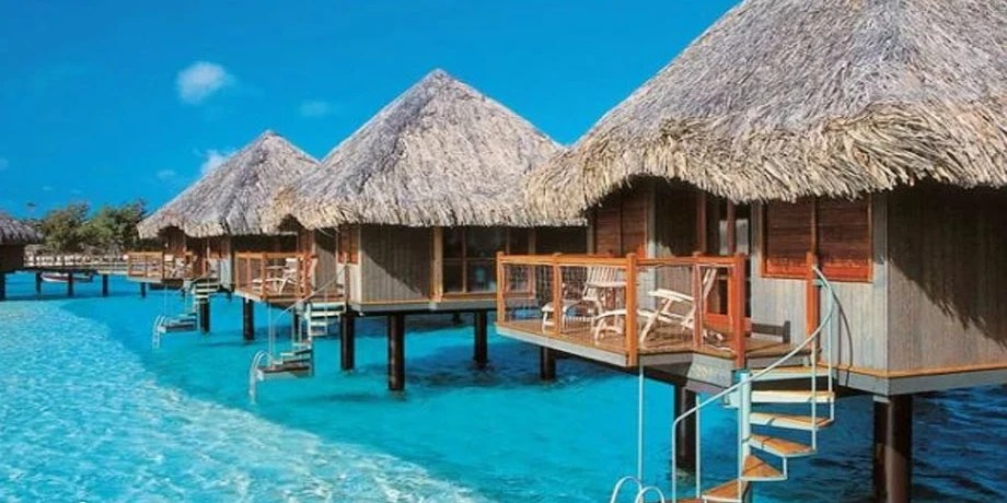 أفضل الأوقات للسفر عيد أفضل الأوقات للسفر في عيد الشكر 2024 - أفضل الأوقات للسفر عيد