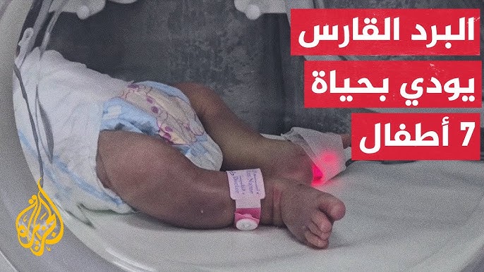 أزمة المأوى غزة أزمة المأوى في غزة: أخطر كارثة في الحرب - أزمة المأوى غزة