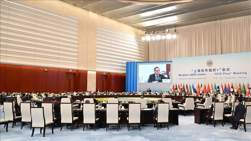 قرقاش: يجب تقوية دور سيادة الدول وإبعاد الميليشيات - سيادة الدول