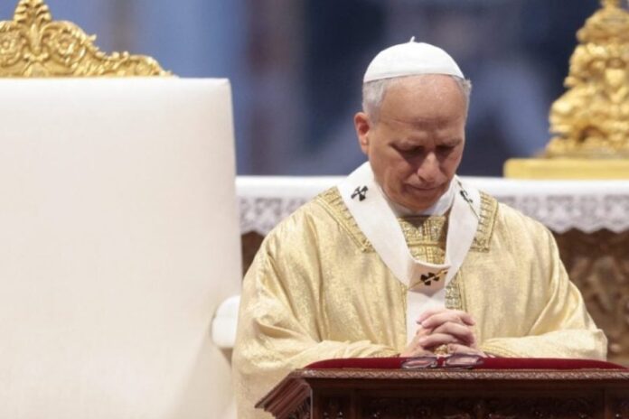 البابا ليون هوليوود البابا ليون يجذب هوليوود بحضور كيت