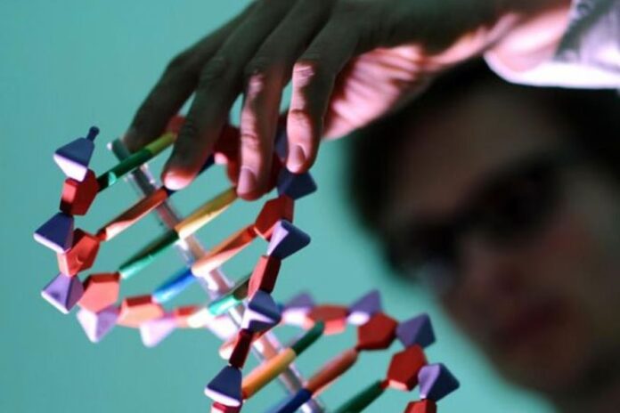 التعديل الجيني للأجنة وول ستريت: شركة ناشئة أطلقت مشروعا