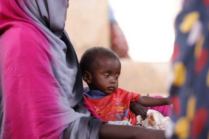 السودان الفاشر الأمم المتحدة السودان: الأمم المتحدة ترسل