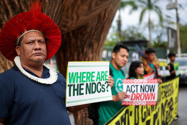 الغابات والتمويل والطموحات… ما هي رهانات مؤتمر المناخ