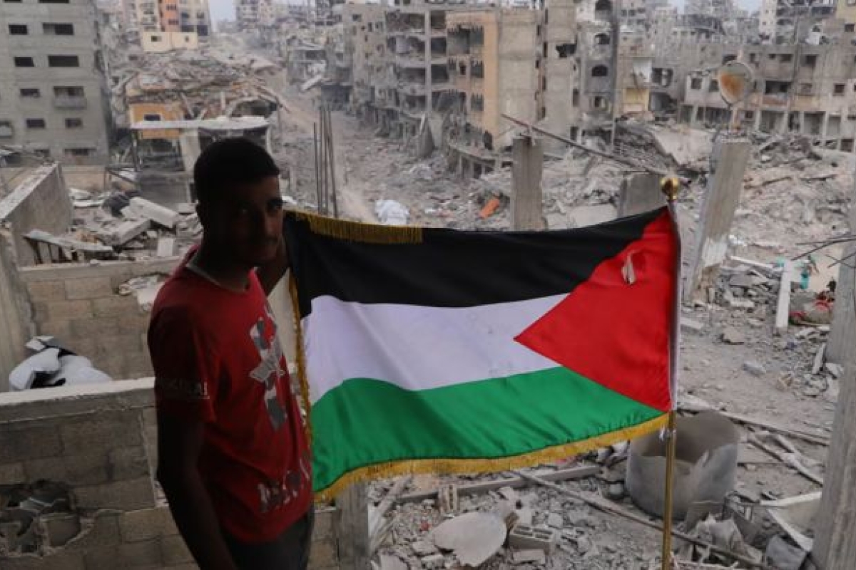 القوة الدولية غزة مصر تدعو إلى سرعة تشكيل القوة الدولية في