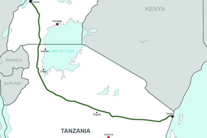 النشاطات الكينية الديمقراطية تنزانيا كيف تعزز النشاطات