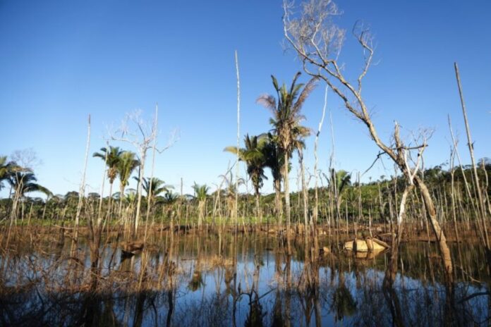 تغير المناخ البرازيل الأمم المتحدة تحذر من نزوح ملايين بسبب