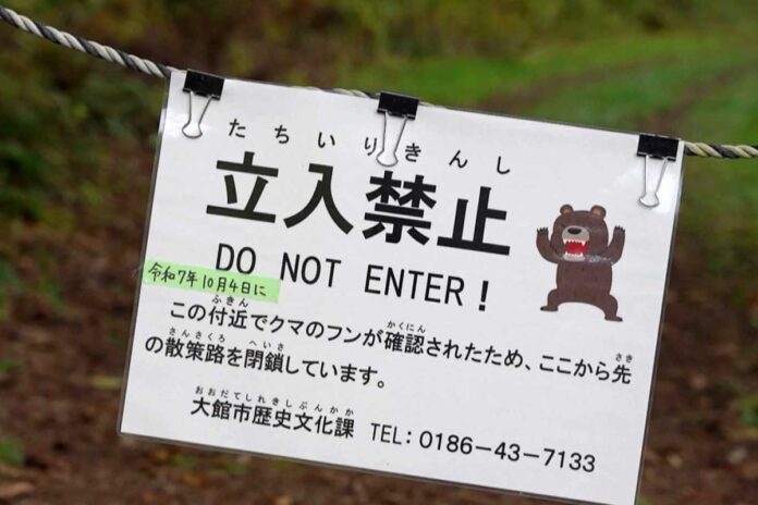 زيادة هجمات الدببة اليابان ما وراء زيادة هجمات الدببة في