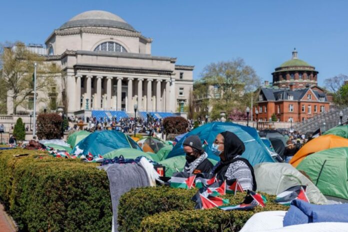 طلاب الجامعات غزة طلاب الجامعات في غزة أول دفعة تتخرج منذ