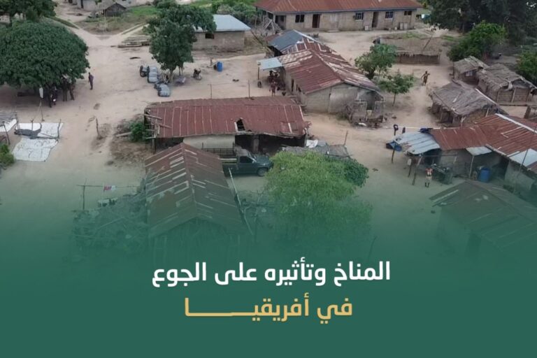 عدم الاستقرار تنزانيا وتأثيره عدم الاستقرار في تنزانيا