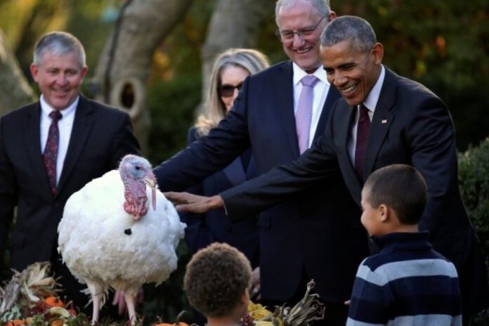 عيد الشكر: قصة احتفال وألم، في الخرائط