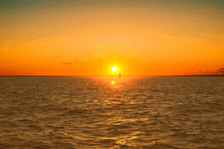 لوحات مؤتمر موسيقى تيكتونيكس: تداعيات البث، الشركات