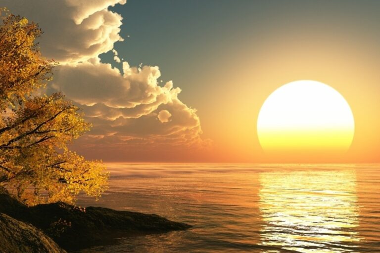 مشروع شروق الشمس كانتاس تكشف عن صور أول طائرة إيرباص