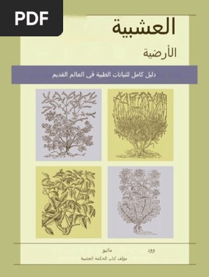 شعرنا بورغس عائلتها المختلطة شعرنا بورغس تتحدث عن تربية - شعرنا بورغس عائلتها المختلطة