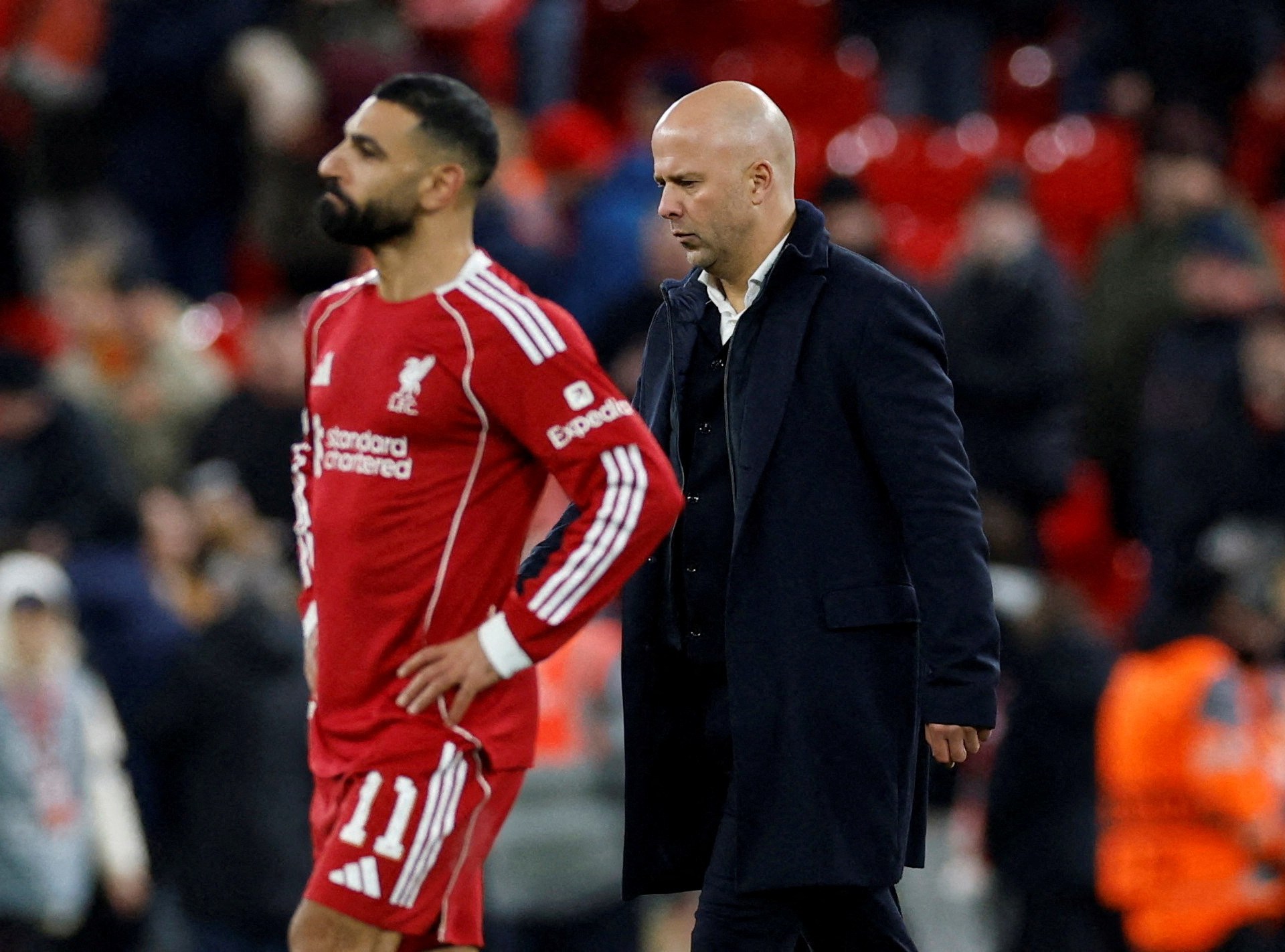 ليفربول برايتون ليفربول ضد برايتون: الدوري الإنجليزي – - ليفربول برايتون