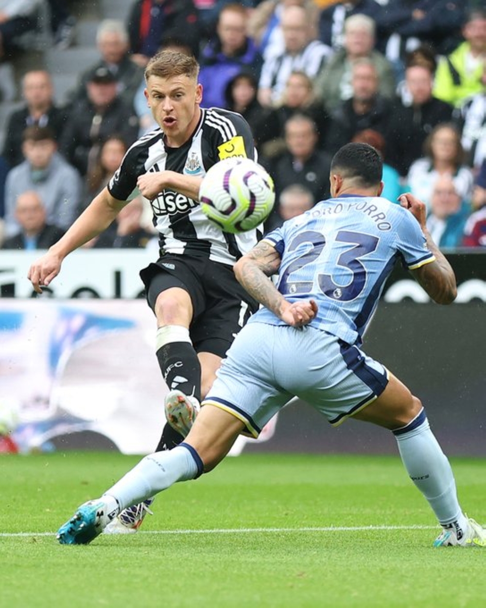 نيوكاسل توتنهام نيوكاسل ضد توتنهام – التشكيلات والإحصائيات - نيوكاسل توتنهام