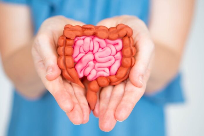 7 علامات تدل على صحة الأمعاء غير الجيدة وطرق علاجها