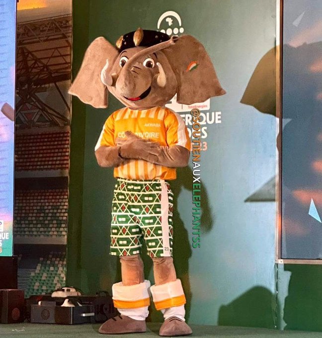 تميمة كأس أمم إفريقيا الكشف عن التميمة الرسمية لكأس أمم - تميمة كأس أمم إفريقيا