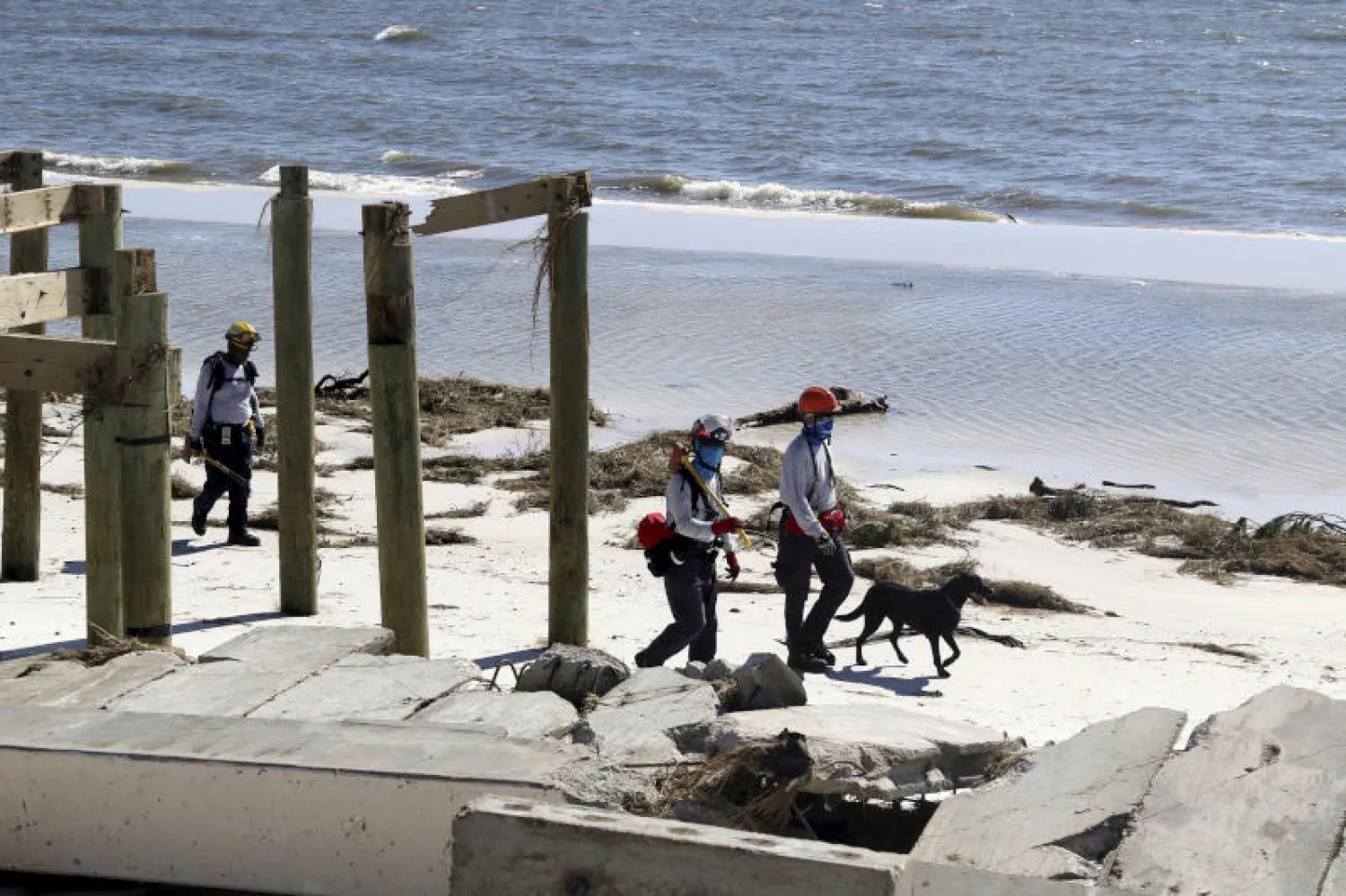 ناجين شاطئ بوندي لقطات جديدة تظهر ناجين من شاطئ بوندي - ناجين شاطئ بوندي