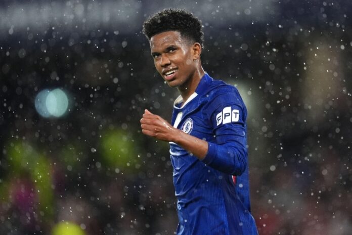 إنزو مايرسكا أفضل مدرب مدرب تشيلسي مايرسكا أفضل مدرب في