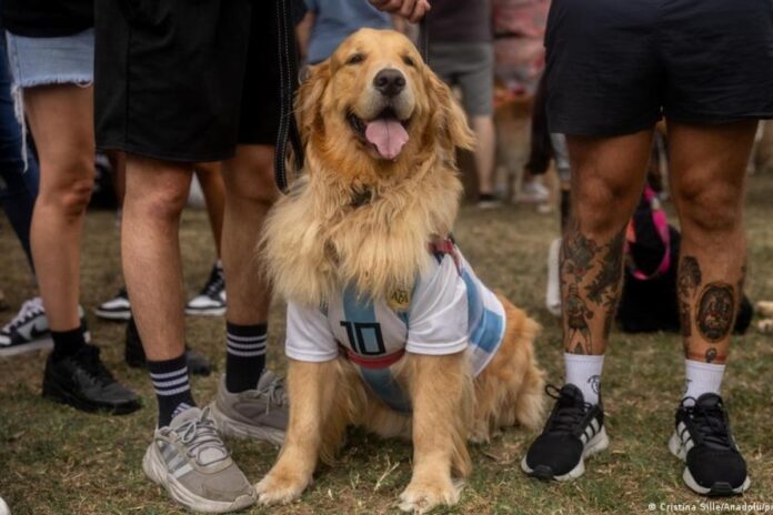 الأصدقاء القدامى الأرجنتين الأصدقاء القدامى في الأرجنتين