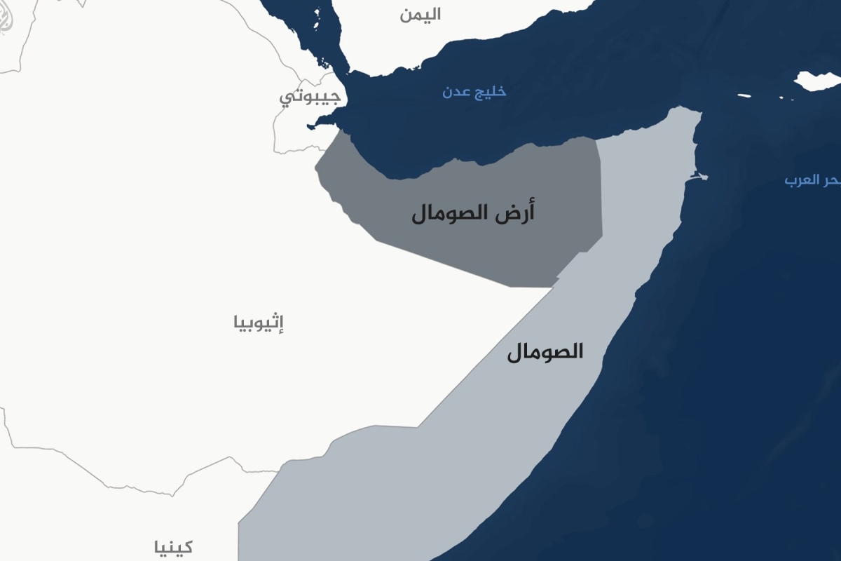 بسبب أرض الصومال.. تحرك مصري عاجل في إفريقيا