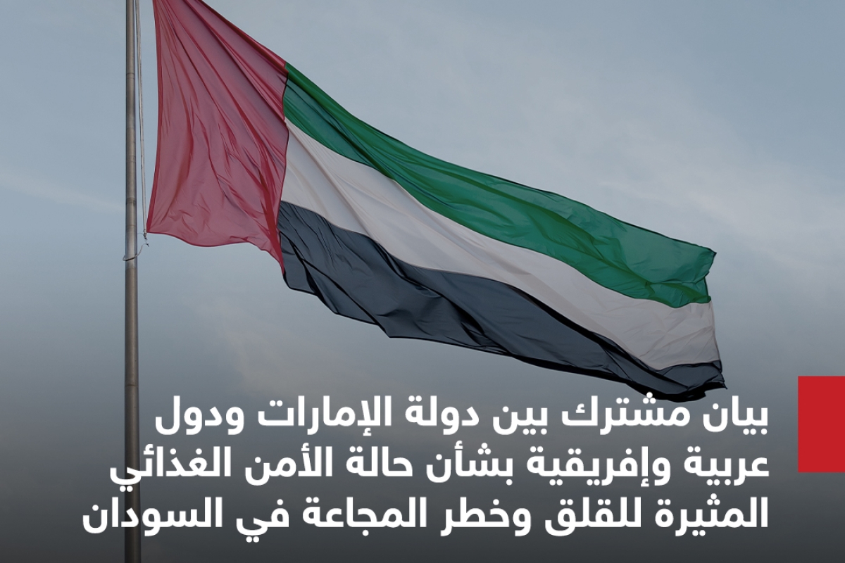 بيان دولة الإمارات بشأن الأحداث الجارية في اليمن