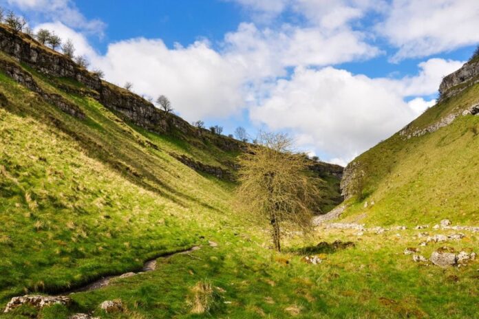 زواج تابيثا ويليت نجمة Made In Chelsea تابيثا ويليت تعلن