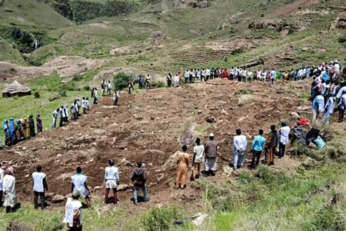 شهادات الناجين الانهيارات الأرضية شهادات الناجين من رعب