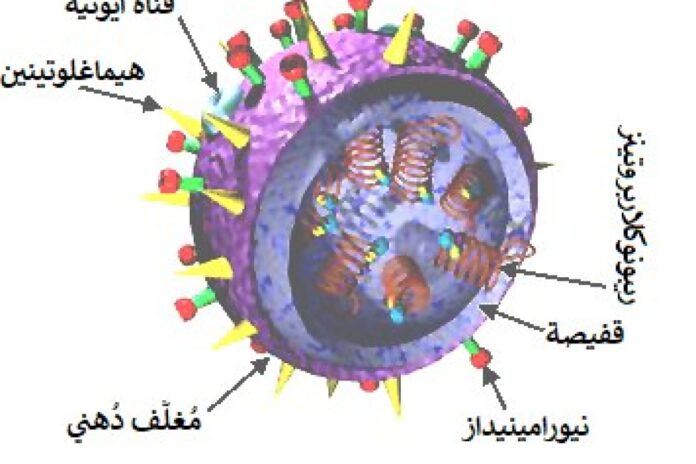 فيروس الإنفلونزا يسبب أسوأ سيناريو للـ NHS مع زيادة الحالات
