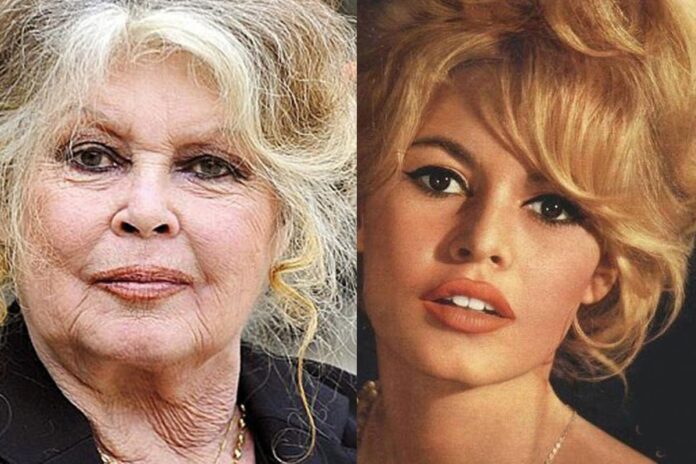 وفاة أيقونة السينما الفرنسية.. بريجيت باردو