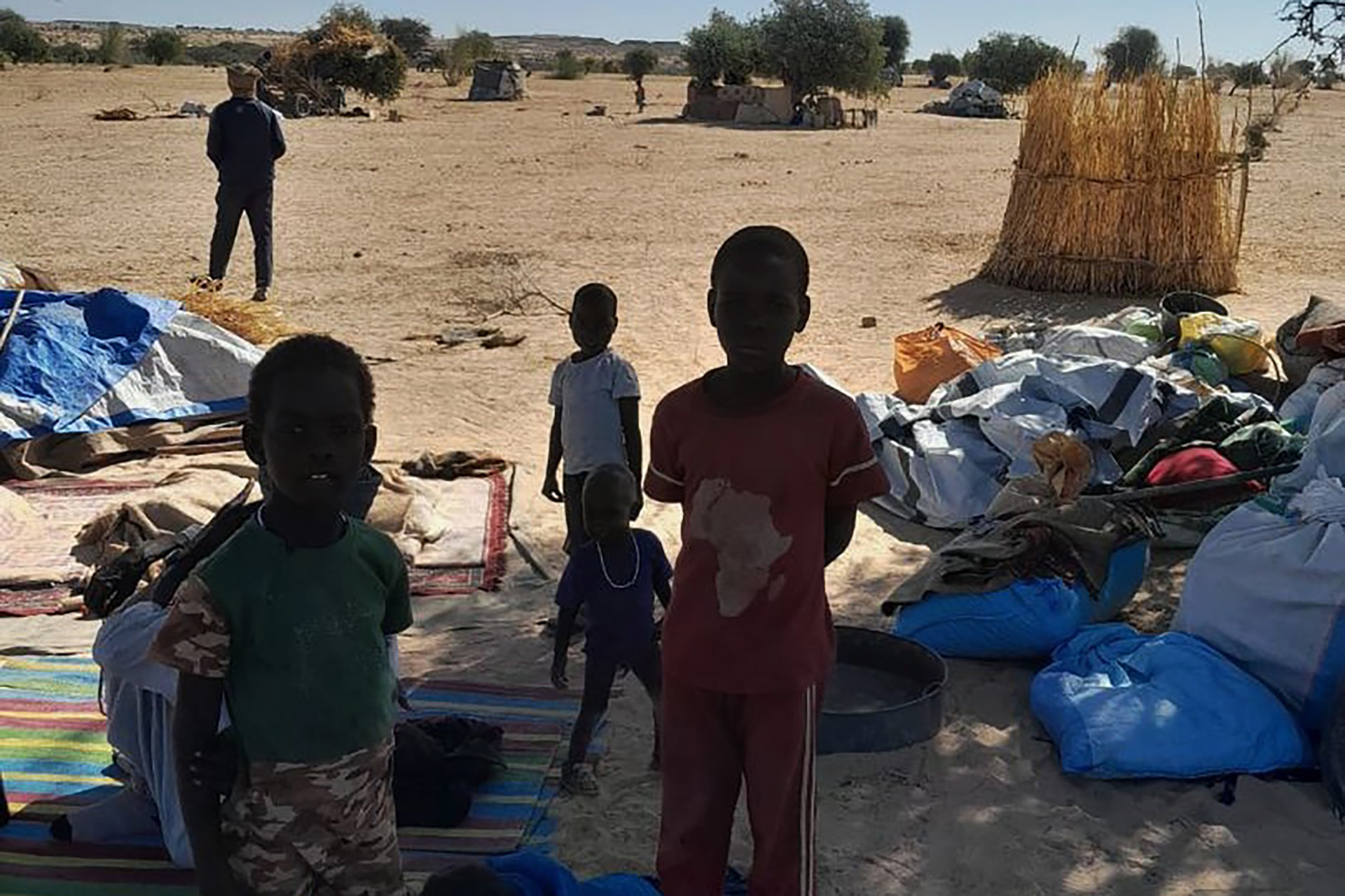 1001371646-1767792538