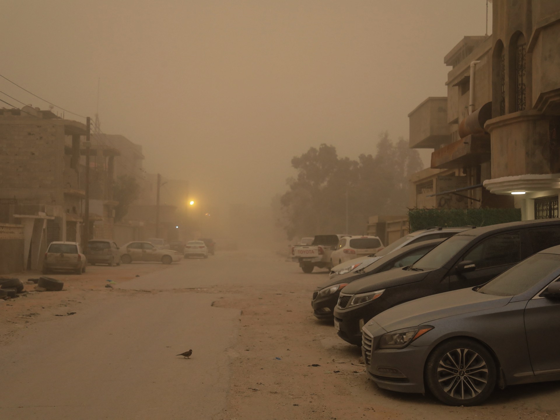 AFP-libya-1769388475