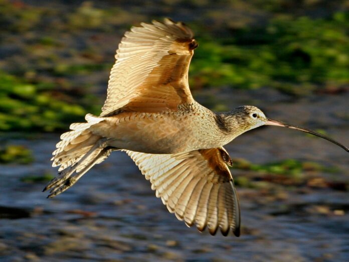 AP071224014994-1761662289