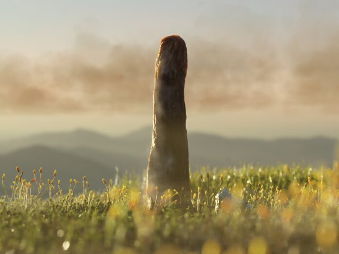 scientists-may-have-di-3-1769294429