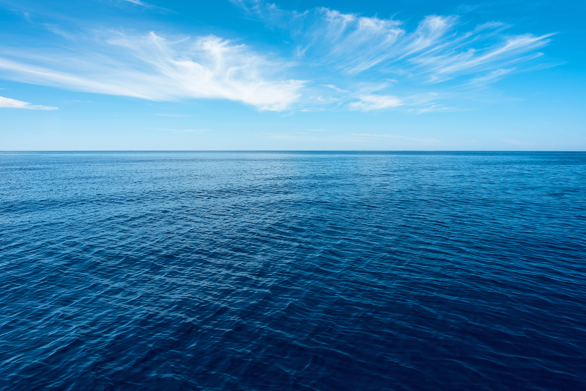 shutterstock_1687987282-1759500007