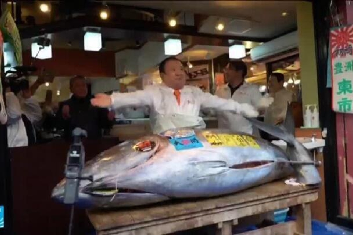 إيران: تصاعد الاحتجاجات ومقتل 51 متظاهراً بينهم أطفال