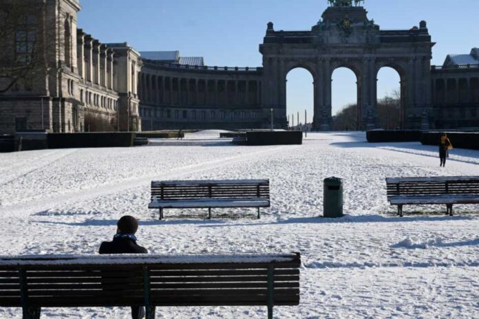 احتيال مروع باسم العائلة الملكية يهز بلجيكا