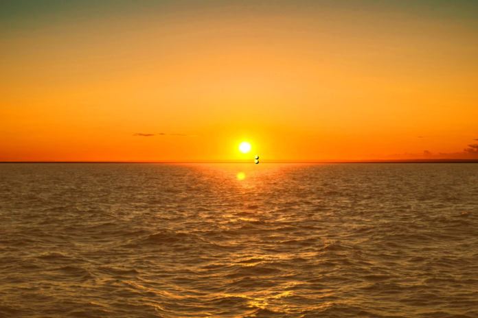 اكتشاف نفق ضخم لقسد في سوريا: شبكة معقدة تحت الأرض