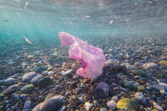 خسائر بيئية ضخمة: نفايات الشرق الأوسط تكلف 7.2 مليار دولار