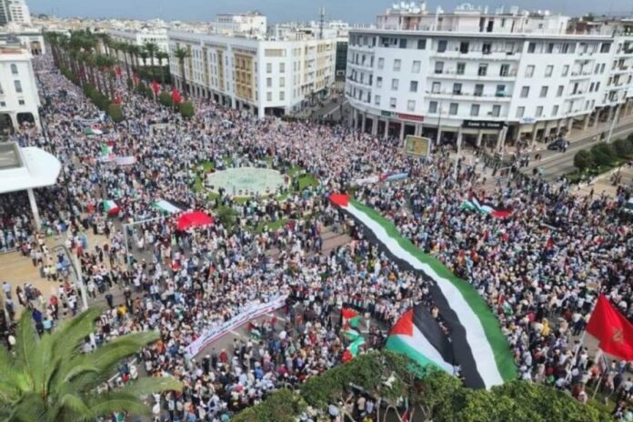 مسيرة تضامن غزة للعام الثالث.. آلاف الأتراك يستقبلون العام