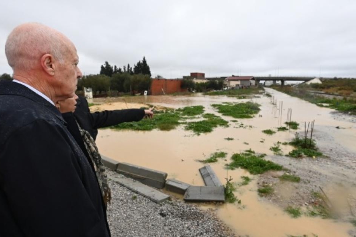 تصريح قيس سعيّد عن الحشرات يثير جدلاً واسعاً في تونس